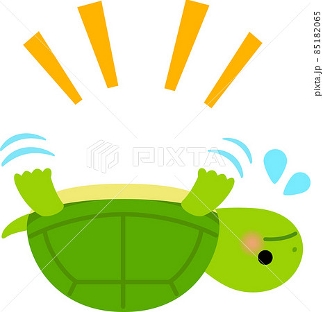 Turtle Struggling To Turn Over Stock Illustration