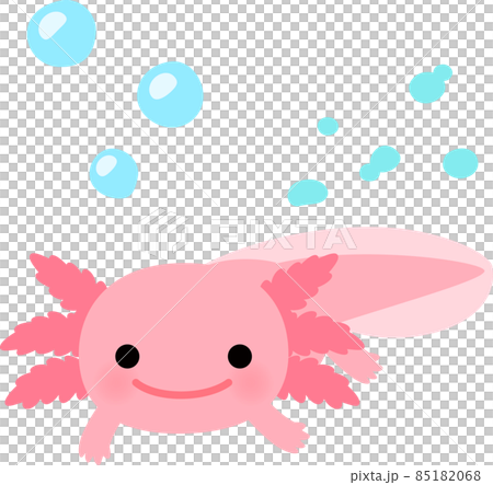 水中的蠑螈 85182068