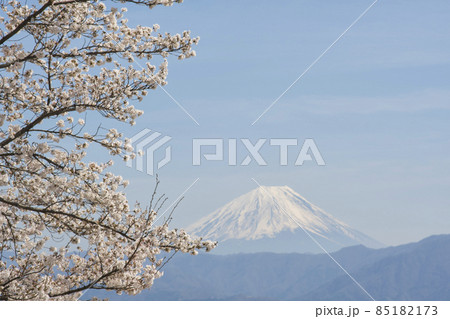 桜が咲く春の里山から眺める、青空の下の富士山 桜が咲く春の里山から眺める、青空の下の富士山 85182173