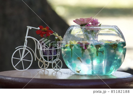 自転車と水槽に浮かぶ花 85182188