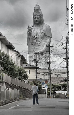 観音様 観音様 85182209