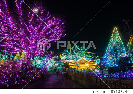 よみうりランドの夜景 85182240