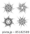 Set of four black snowflakes on a white background. Abstract computer generated fractal image of a snowflake. Illustration, isolate. Use as a stamp or brush 85182589