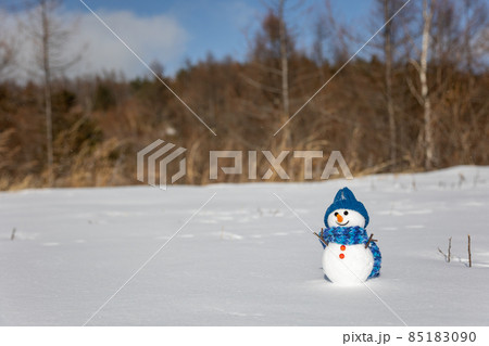 青い帽子の雪だるま 青い帽子の雪だるま 85183090