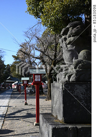 (伝統風景)神社参道を拝殿に向かって進む:縦構図 埼玉県久喜市 鷲宮神社 (伝統風景)神社参道を拝殿に向かって進む:縦構図 埼玉県久喜市 鷲宮神社 85183098