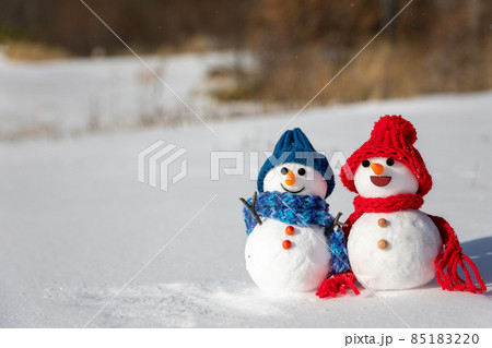 ペアの雪だるま 85183220