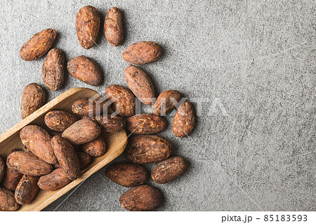 Dried cocoa beans. Cacao beans in scoop. 85183593