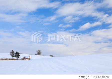 【北海道美瑛町】青空と赤い屋根のある丘 12月 【北海道美瑛町】青空と赤い屋根のある丘 12月 85183620