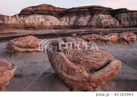 Bisti Bisti 85183964