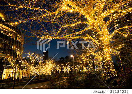 東京ミッドタウンのイルミネーション 東京ミッドタウンのイルミネーション 85184035