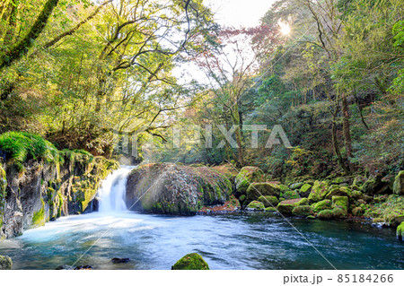 秋の菊池渓谷 黎明の滝 熊本県菊池市 秋の菊池渓谷 黎明の滝 熊本県菊池市 85184266
