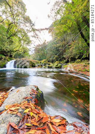 秋の菊池渓谷 黎明の滝 熊本県菊池市 秋の菊池渓谷 黎明の滝 熊本県菊池市 85184271
