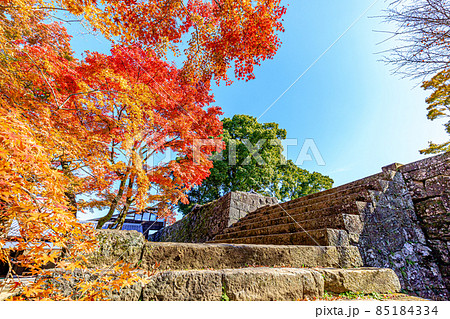 秋の岡城跡　大分県竹田市 85184334
