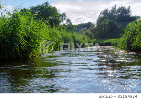 Lake or fishing pond. Landscape a beautiful pond. Forest natural pond 85184824