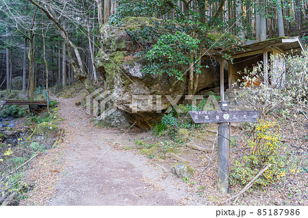 伊豆ヶ岳・正丸峠の登山口（奥武蔵） 85187986