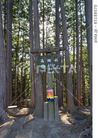 高畑山の山頂（奥武蔵の伊豆ヶ岳ハイキングコース） 85188070