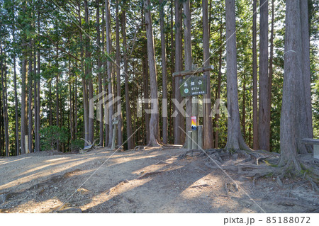 高畑山の山頂（奥武蔵の伊豆ヶ岳ハイキングコース） 85188072