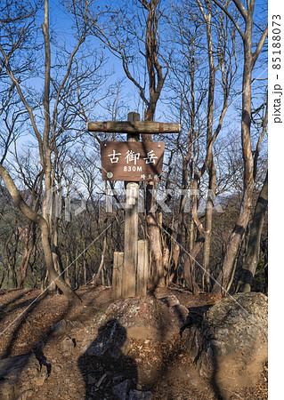 古御岳の山頂（奥武蔵の伊豆ヶ岳ハイキングコース） 85188073
