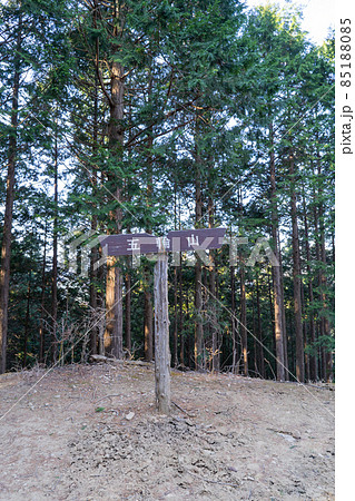 五輪山の山頂（奥武蔵の伊豆ヶ岳ハイキングコース） 85188085