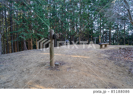 五輪山の山頂（奥武蔵の伊豆ヶ岳ハイキングコース） 85188086