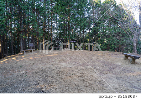 五輪山の山頂（奥武蔵の伊豆ヶ岳ハイキングコース） 85188087