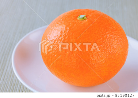 完熟紅まどんな 85190127