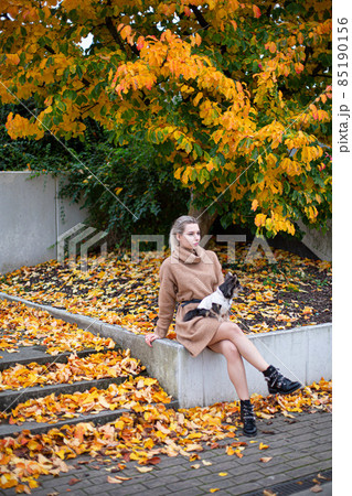 Woman with small dog among autumn leaves 85190156