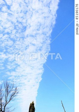 空を二分する雲と青空風景 秋冬空 空を二分する雲と青空風景 秋冬空 85190176
