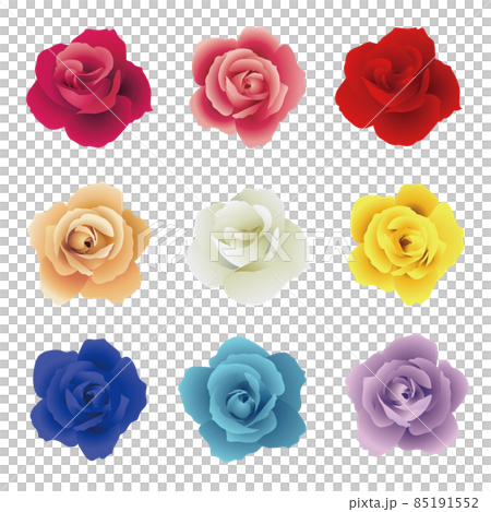 バラの花セット バラの花セット 85191552