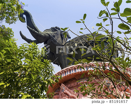 タイ・サムットプラーカーン / Samut Prakan, Thailand 85191657