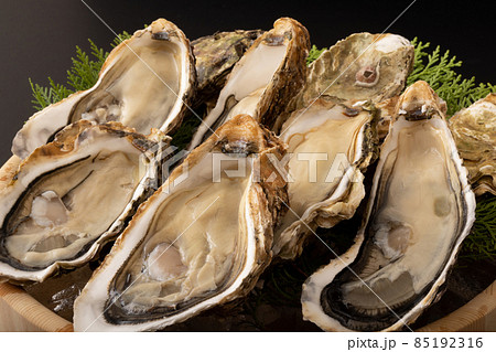 殻付き生牡蠣 (宮城県産) 殻付き生牡蠣 (宮城県産) 85192316