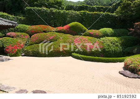 【瀬戸内三十三観音霊場】第十三番　頼久寺庭園のサツキが咲く青海波1　岡山県高梁市 85192592