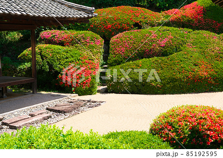 【瀬戸内三十三観音霊場】第十三番 頼久寺のサツキが咲く小堀遠州の庭園2 岡山県高梁市 【瀬戸内三十三観音霊場】第十三番 頼久寺のサツキが咲く小堀遠州の庭園2 岡山県高梁市 85192595