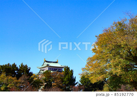 名古屋市、秋の名古屋城の風景 85192770