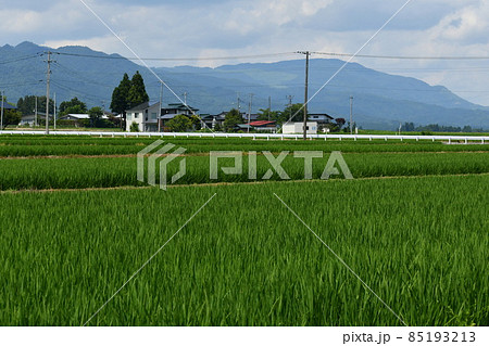 夏の日の白兎駅の近くの風景 夏の日の白兎駅の近くの風景 85193213