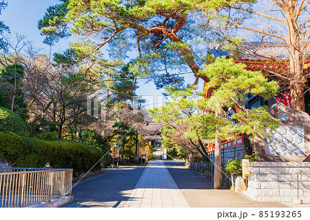 東京　高幡不動尊金剛寺　参道 85193265