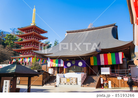 東京 高幡不動尊金剛寺 不動堂と五重塔 東京 高幡不動尊金剛寺 不動堂と五重塔 85193266