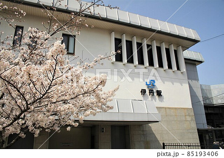 JR伊丹駅と桜 JR伊丹駅と桜 85193406