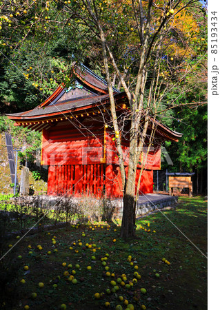 奈良県談山神社の秋 奈良県談山神社の秋 85193434