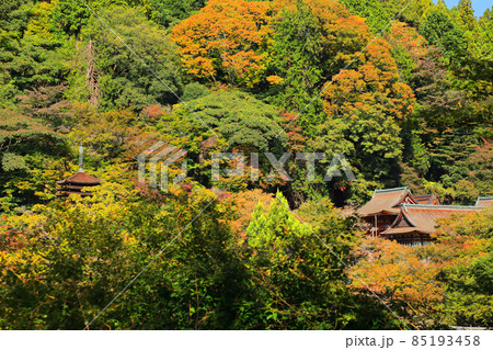 奈良県談山神社の秋 85193458