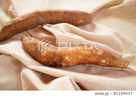 生成りの布の上にヤーコン2本 生成りの布の上にヤーコン2本 85194037