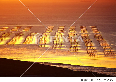 白石町桜の里展望所からの眺望 85194235