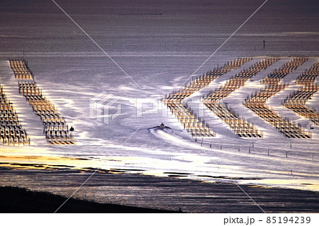 白石町桜の里展望所からの眺望 85194239