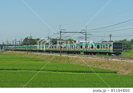 東北本線　東大宮－蓮田　JR東日本　E231系1000番台　U4編成（小山） 85194800