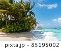 Tropical paradise in Maldives 85195002