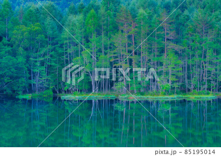 御射鹿池（夏） 85195014