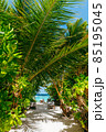 Tropical paradise in Maldives 85195045