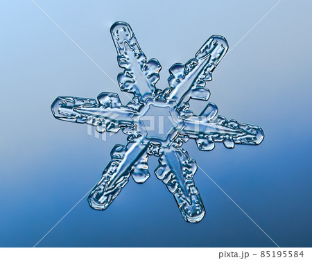 Snowflake on smooth gradient background. Macro photo of real snow crystal on glass surface. This is small snowflake with unusual pattern. 85195584