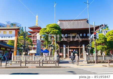 東京　高幡不動尊金剛寺　仁王門と五重塔 85195847