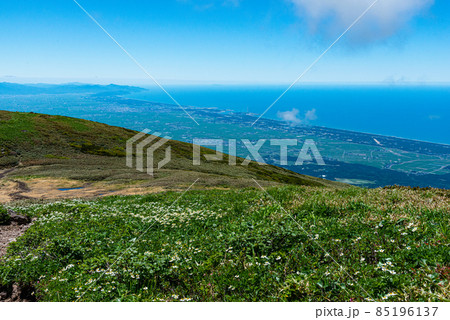 春の笙ケ岳トレッキング 山上のお花畑越しに庄内平野と日本海 春の笙ケ岳トレッキング 山上のお花畑越しに庄内平野と日本海 85196137
